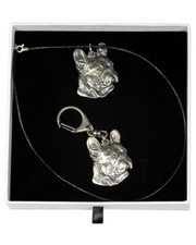 Bulldog Francese - Set - Il Cane Nella Scatola Bianca Art Dog DE