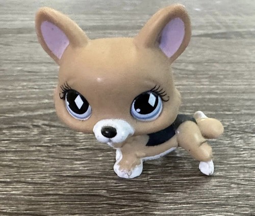 Littlest Pet Shop #639 Corgi Puppy Dog Brown Black White Blue Diamond Eyes