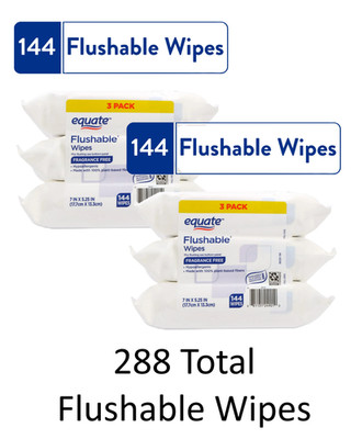 Equate Flushable Wipes Fragrance Free 6 Packs 48 Ct Each 288 Total Wipes
