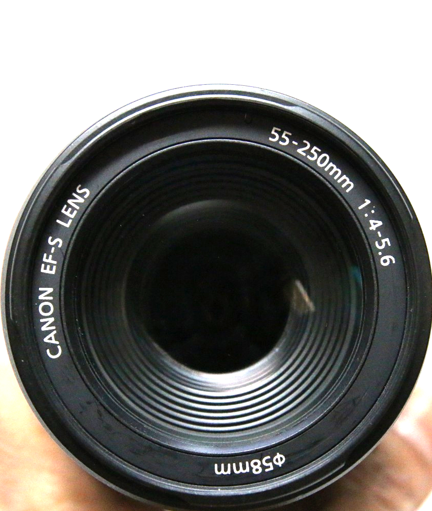 Canon Zoom Lens Ef-S 55-250 mm 1:4-5.6 IS | eBay