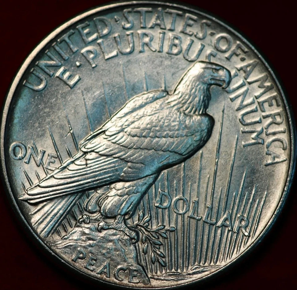 Uncirculated 1921 Philadelphia Mint Silver Peace Dollar - Image 2 of 2