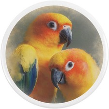 'Sun Conure Parrot Couple' Button Pin Badges (BB062241)