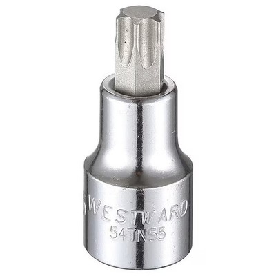 Westward 1/2 in Drive Torx(R) Socket Bit SAE T55 Tip, 2 1/2 in L 54TN55 Westward