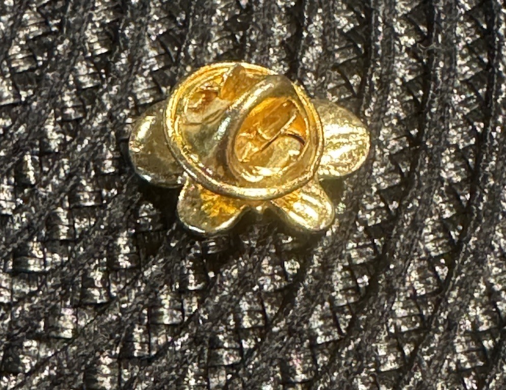 Bumble Bee Elegant Vintage Double Chain Pin With Butterfly Earrings & Pin Lot