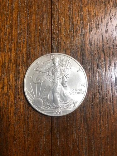 2001 silver eagle