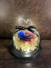 Eternal Rose flower Preserved rose everlasting rose flower gift with Led Light