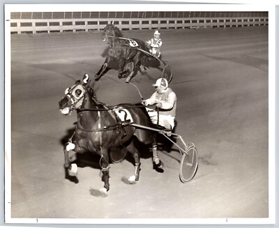 Harness Racing Trotter Horse Race Superior Speed Yonkers Raceway 8x10 Photo 