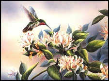 Greeting Card - Bird Hummingbird - Wanda Mumm - Any Occasion - 0262