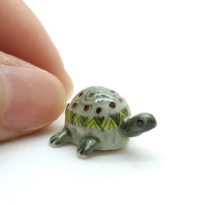 tiny green turtle