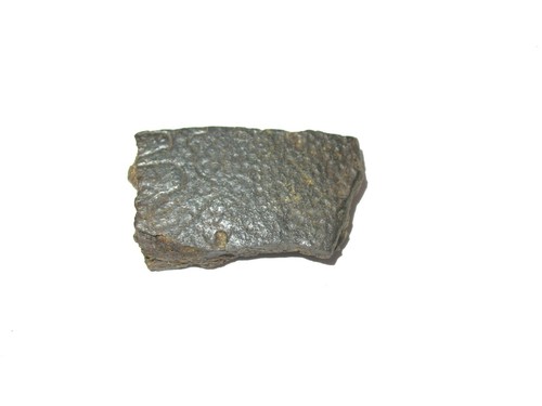 Cretaceous Hell Creek dinosaur age Turtle shell fossil COLLECTION 7 species nice - Picture 8 of 9