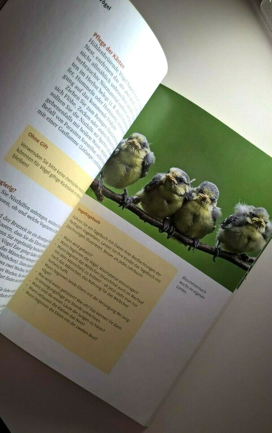 Thumbnail - Vögel Füttern Rund Ums Jahr Von Hans Egidius (taschenbuch)