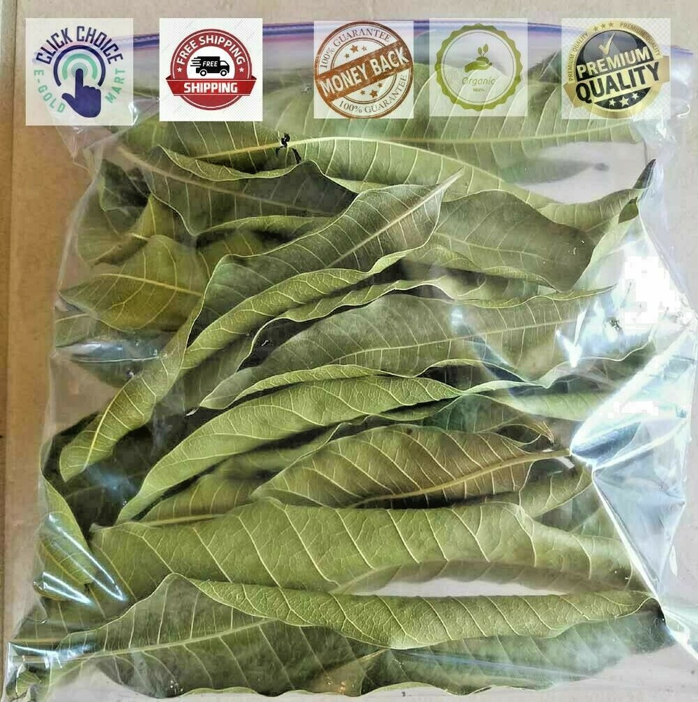 100 Dried Mango Leaves 100% Organic Natural Herbs Leaf From Sri Lanka_FREE SHIP
