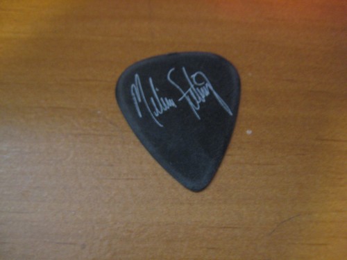 Melissa Etheridge Signature Guitar Pick Gray #2 Blank Back 