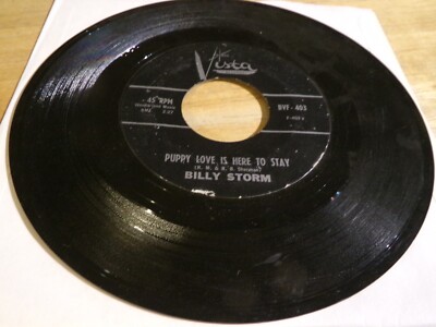 Billy Storm 45 - Puppy Love is Here to Stay - Buena Vista F-403