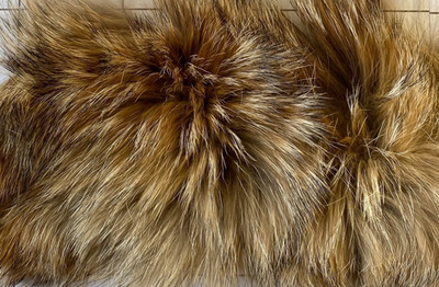 Premium Wild Coyote Fur - New Leather, Extra Soft, USA Fur Only, Beautiful