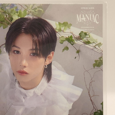 Felix Stray Kids Post Card【MANIAC】2nd World Tour Encore In Japan