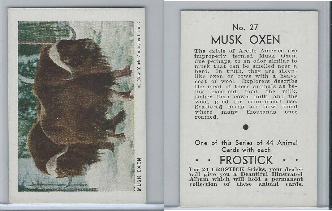 F55 Frostick, Animal Cards, 1933, #27 Musk Oxen | eBay F55 Frostick, Animal Cards, 1933, #27 Musk Oxen | eBay
