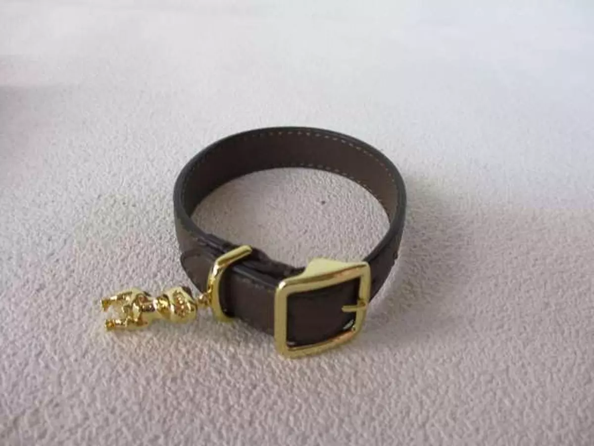 Coach store dinosaur bracelet