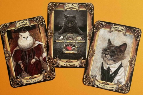 cat tarot card cards deck fortune telling rare vintage oracle cats supplies gift - Picture 7 of 12