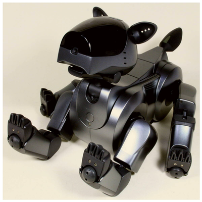 Sony AIBO ERS-210 Robot Dog Everest Black Limited Color Sony AIBO ERS-210 Robot Dog Everest Black Limited Color
