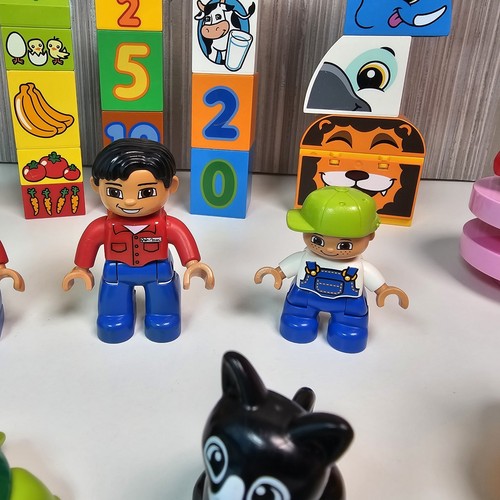 Duplo Animal Figure Pieces Bundle - Turtle Flower Spring Food Tiger Giraffe Girl - Picture 7 of 15