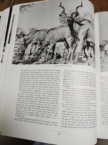 AFRICAN HUNTER James Mellon, 1975, 522 Pages, 9.5" By 12", Real First Edition. - Picture 16 of 21