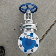 DSI 3" 300# WCB Gate Valve 23XUF, low-E, API 600/624