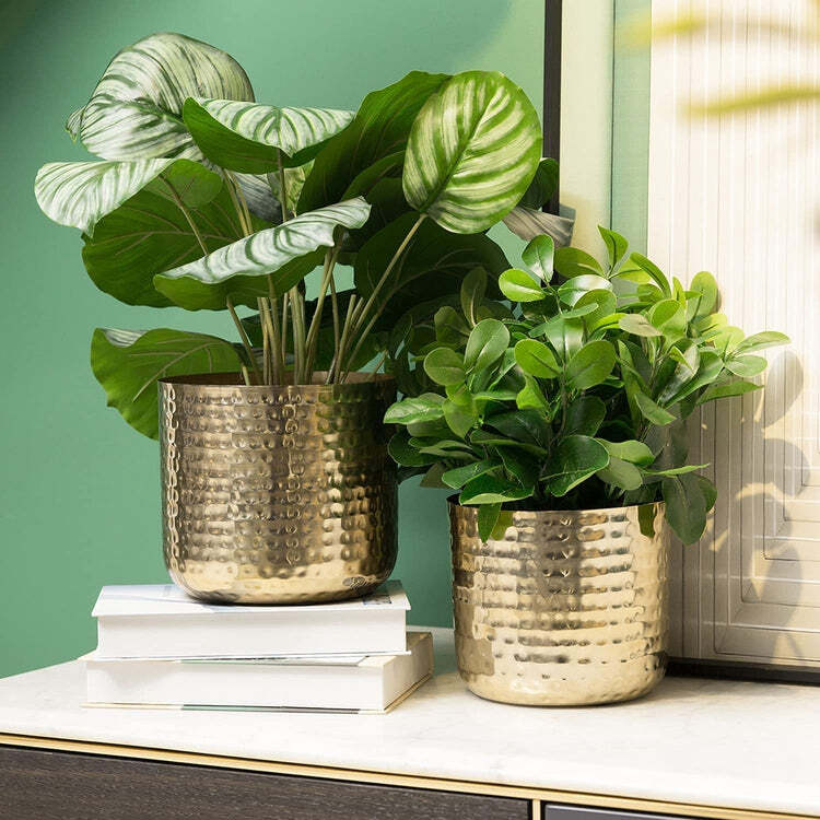 Hammered Brass Plated Metal Plant Pots for Indoor Plants, 6 and 5-Inch, Set  of 2 | eBay