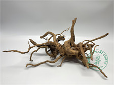 Black Spider Wood / Aquarium D cor / Terrarium / Reptile Tank / Aquascapin