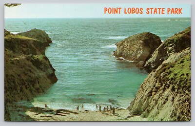 China Cove Point Lobos State Park California Chrome Postcard Unposted
