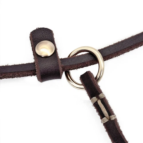 Slip Leads for Small Dogs Thin Leather 4ft/5ft Pet Puppy Walking Leash Brown Red - Picture 4 of 10