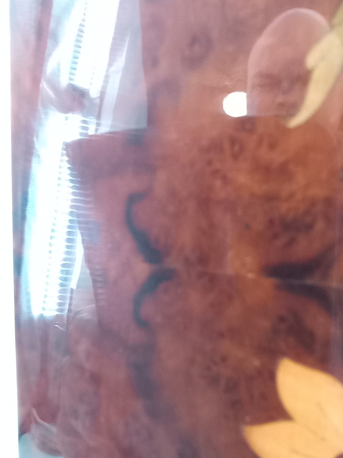 MCM Vintage Marquetry Inlaid Wood Plaque ~ Floral Design 23 In X 11 In