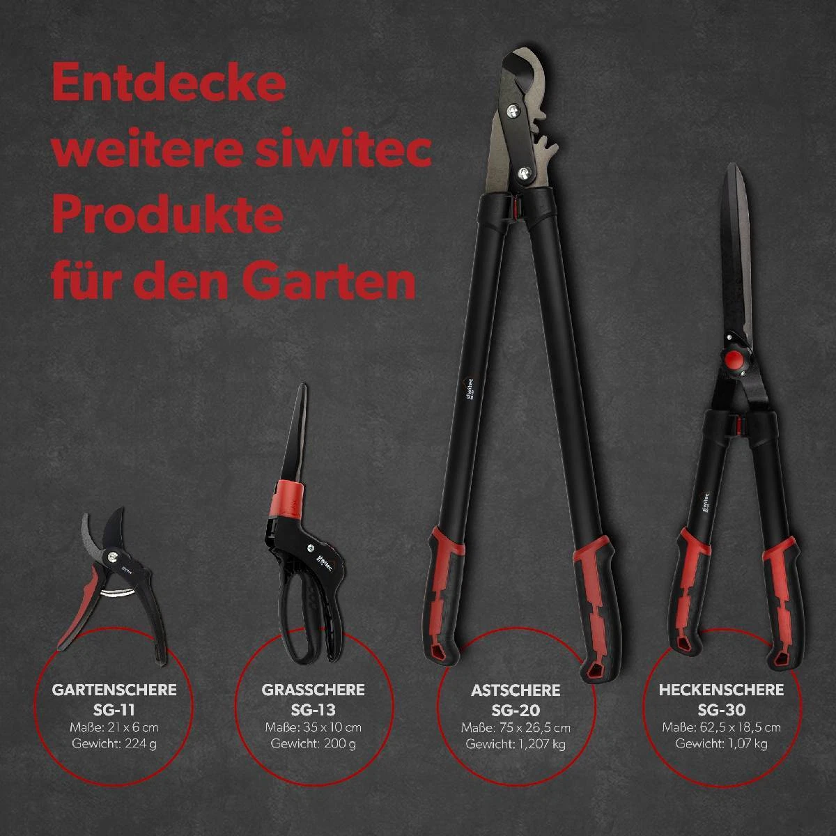 Bild 7 von 8