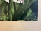 Edithe Beutler Signed Orchid Oil Colored Photo Hawaii c1940 + her book signed — photo 4