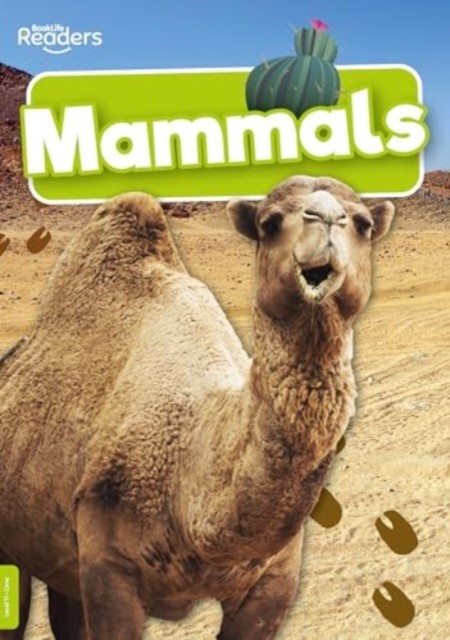 Mammals by Charlie Ogden (Paperback Book)