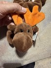 TY Beanie Baby Chocolate the Moose — photo 6