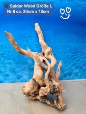 🪸 Moorkienwurzel- Spiderwood 🕸 Größe L  Aquarium Wurzel Hardscape
