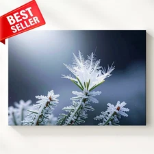 Canvas Winter Frosted Pine Snowflake Macro Nature Close When World Shot Wall Art