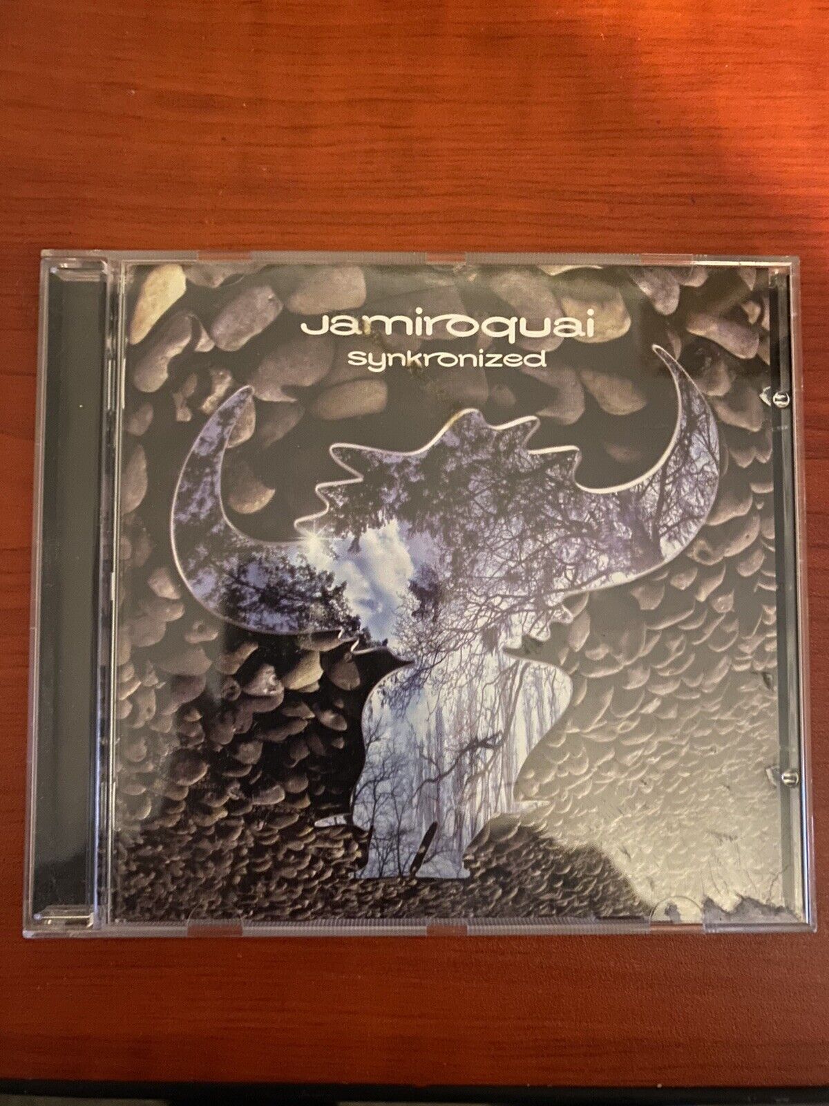 Jamiroquai - Synkronized (2001)