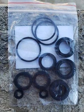USAReplacementparts 76975 SEAL KIT CAT PUMP 4DNX Pumps 4DNX25GSI 4DNX27GSI Se...
