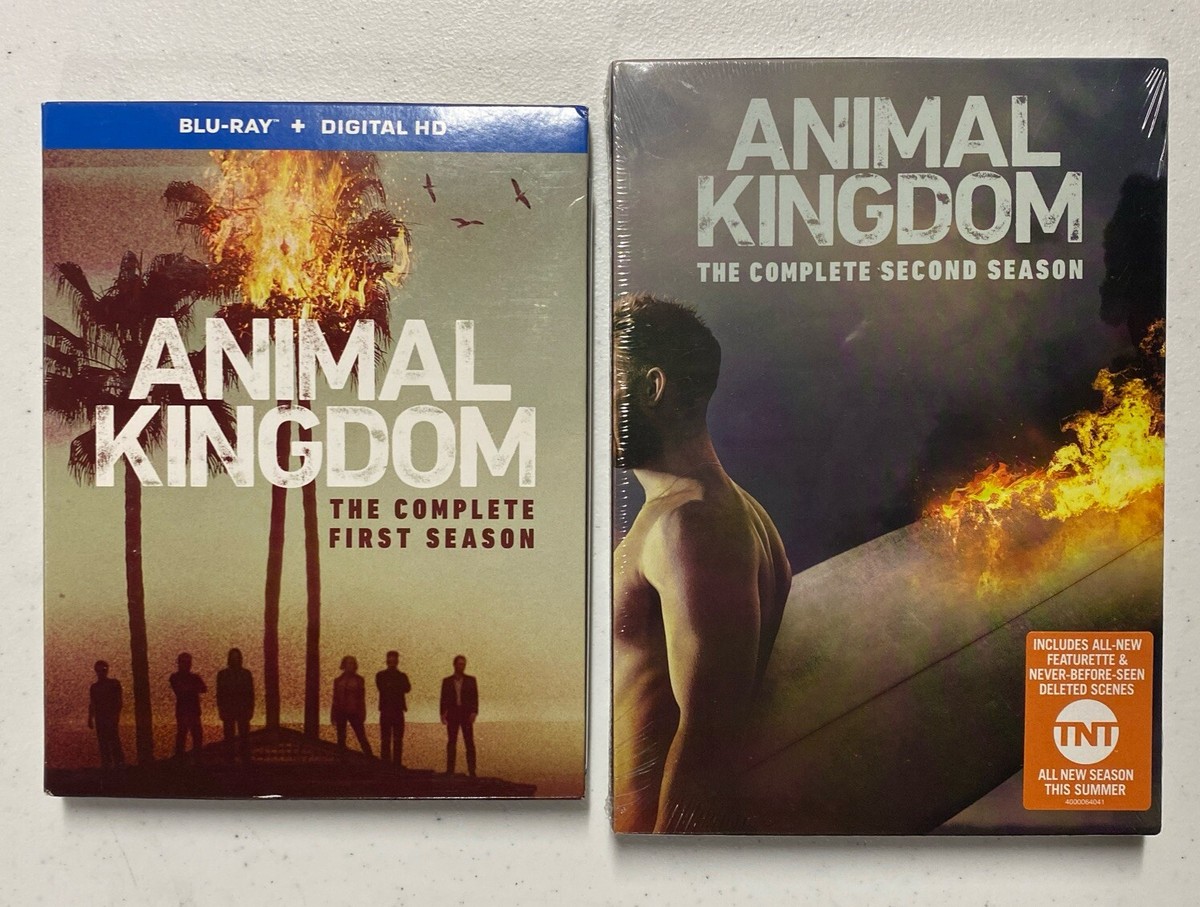 Tnt Series Like Animal Kingdom Animal Kingdom Collection(Season