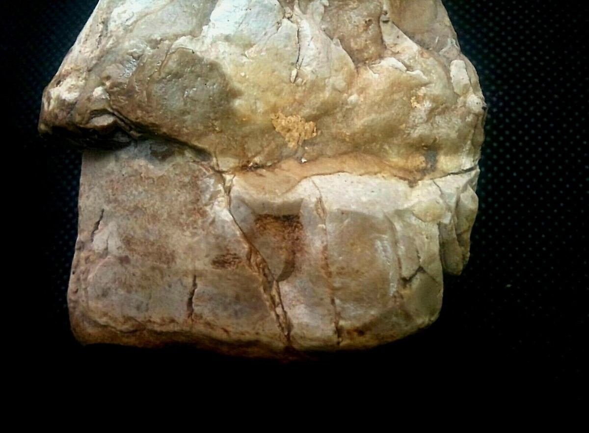 Upper Paleolithic Portable Rock Art PDF) Pre Animism: Portable Rock