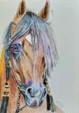 ACEO horse watercolor pencil 3,5