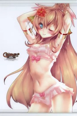 Koei Tecmo Ciel Nosage Clear Tapestry 2020 Aeon B3 Anime Wall Decor