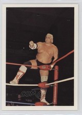 1988 Wonderama NWA Dusty Rhodes #120 0q3