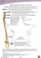 Anatomie Poster Hund  Blockaden  Hundekörper Tierphysiotherapie Tiermedizin