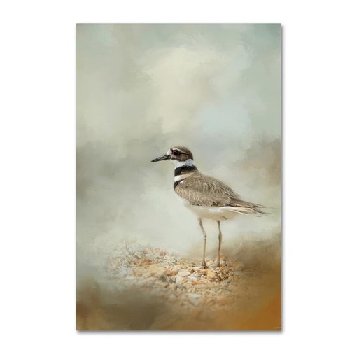 Trademark Fine Art ALI14378-C1219GG Canvas Art, 12x19