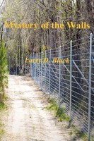 Larry Black | Mystery Of The Walls | Taschenbuch | Englisch (2011) | AuthorHouse