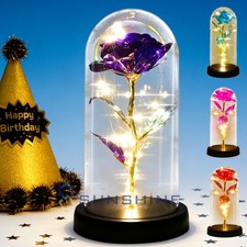 Rosa Cristal Eterno Regalos para Mujer, Conservado Real Para Siempre en Cristal Cúpula Rosa