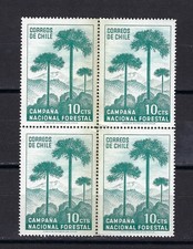 Chile sc 363 SG 583 Stamp Block Of 4 Araucaria 1967 MNH